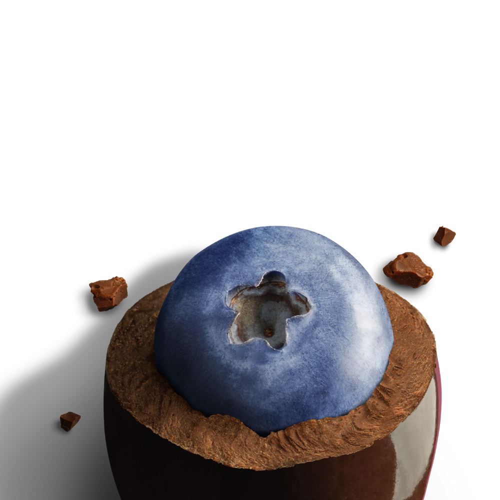 
                      
                        Load image into Gallery viewer, Emily&amp;#39;s Dark Chococolate Blueberries
                      
                    