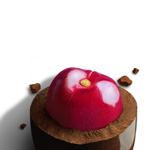 
                      
                        Load image into Gallery viewer, Emily&amp;#39;s Dark Chocolate Cherries 3 Pk.
                      
                    